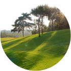 Image for Chaparral Golf Club course